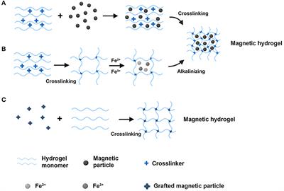 Recent Advances on Magnetic Sensitive Hydrogels in Tissue Engineering
